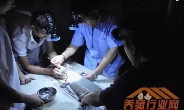 資本試水區塊鏈生物科技+大健康，場景應用時代已然來臨！
